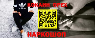 крисы Краснознаменск