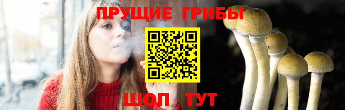 Псилоцибиновые грибы прущие грибы Тулун